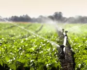 UK Researchers Demand Sustained Food System Investment to Combat Global Malnutrition