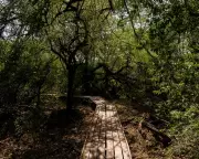 Weaving, Glamping, and Kayak Tours Combat Deforestation in Argentina's Gran Chaco