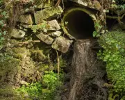 Welsh Water Faces £44.7m Penalty for Sewage Breaches in River Pollution