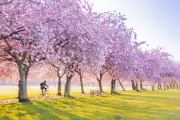 Win £200 Coolstays Voucher: Share Your Best UK Spring Day Out Tips