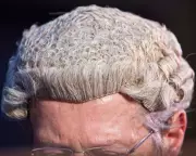 Women's Groups Warn Lammy: Jury Trial Cuts Threaten Justice for Abuse Victims