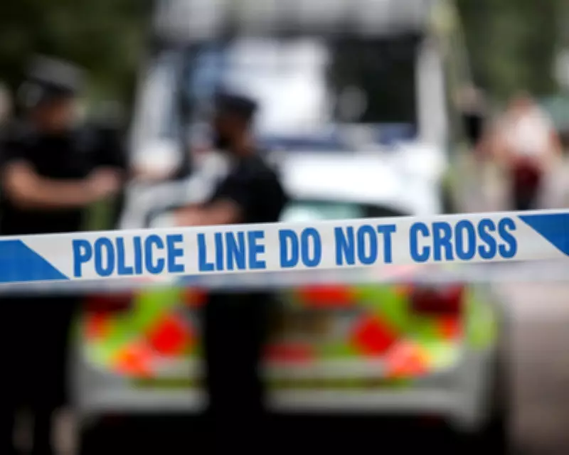 19-Year-Old Woman Dies in Essex Dog Attack, Man Arrested