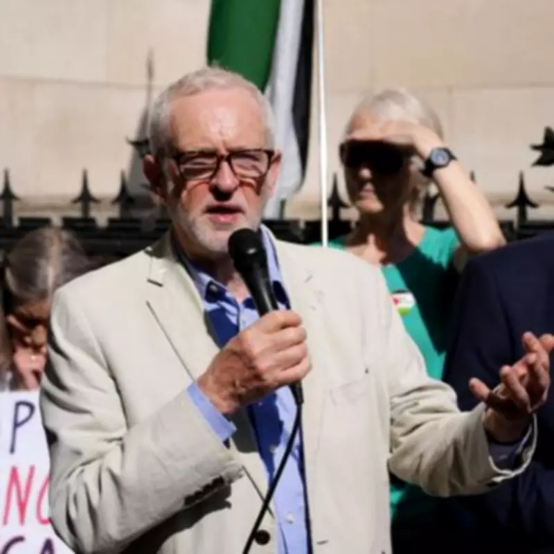 3 London Boroughs Where Your Party Backs Independent Candidates in Local Elections