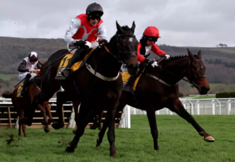 Aintree Festival Betting Guide: Snow, Study, and Sans Bruit Highlight Thursday's Card