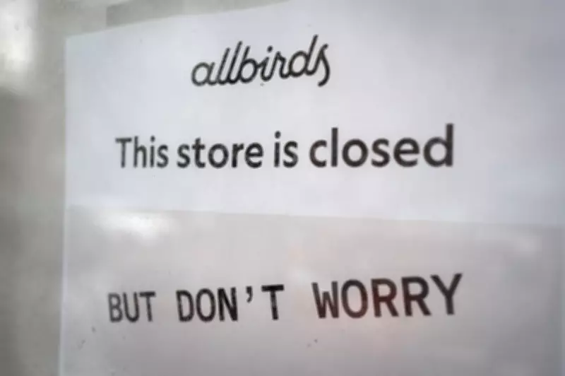 Allbirds Shares Soar 580% After Shoe Brand Announces AI Pivot