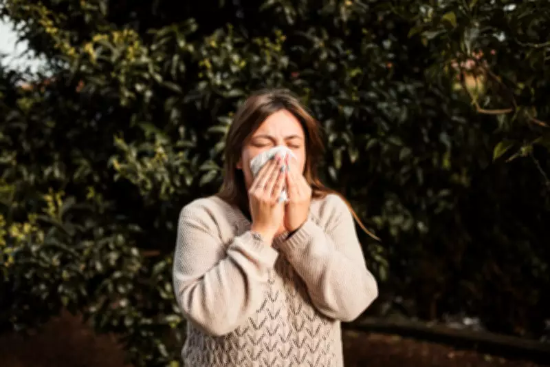 Allergy Season Intensifies: Experts Warn of Longer, More Severe Pollen Periods