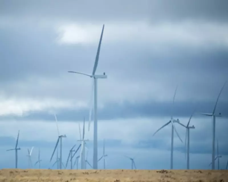 Amazon Secures Nine Major Renewable Energy Deals in Australia for Data Centers