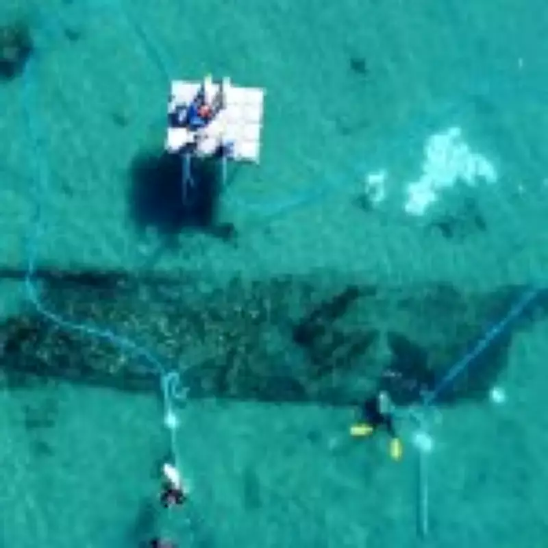 Ancient Shipwreck Graveyard of 134 Vessels Discovered Near Gibraltar