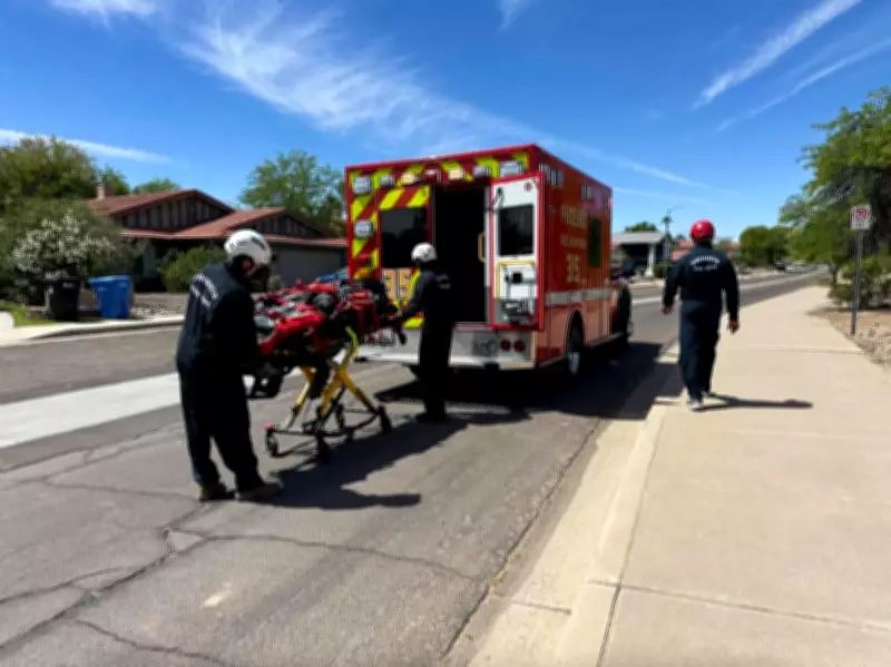 Arizona Hiker Hospitalized After Multiple Bee Stings Near Phoenix