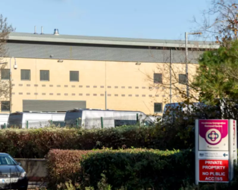 Asylum Seekers Deported in Restraints After Protest, UK Report Reveals