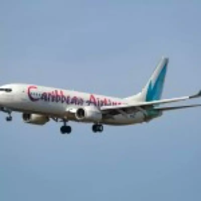 Baby Born Mid-Flight Sparks US Citizenship Debate Over Airspace Rules