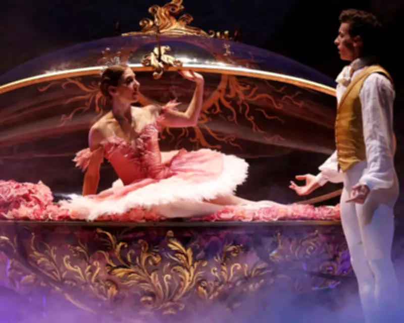 Ballet Dancers on Career Pivots: From Midwifery to the House of Lords