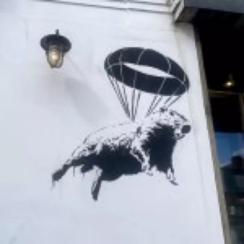 Banksy-Style Capybara Murals Appear Near Zoo Where Escaped Rodent Roams