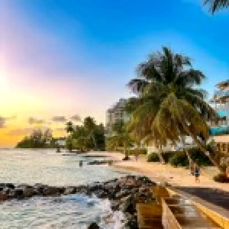 Barbados First-Timer's Guide: Island Safaris, Fried Fish, and Bajan Culture