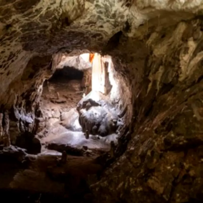 Beddington Caves: South London's Hidden Network of Tunnels and Myths