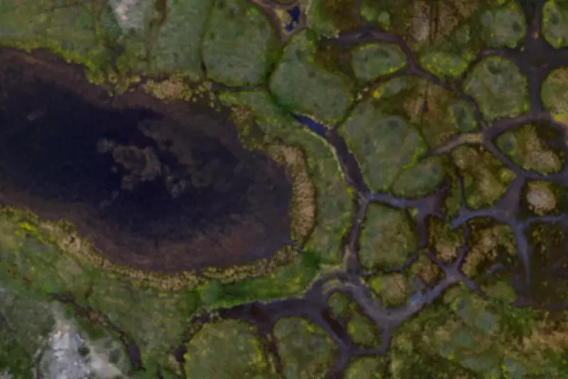 Brits Worry About Climate Crisis But Struggle to Act: James Reed