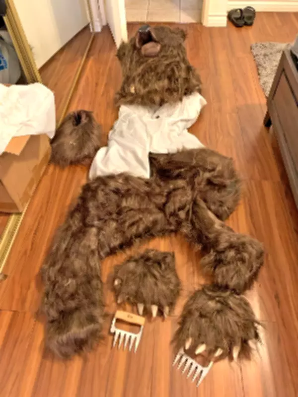 California Trio Jailed for Bizarre Bear Costume Insurance Fraud Scheme
