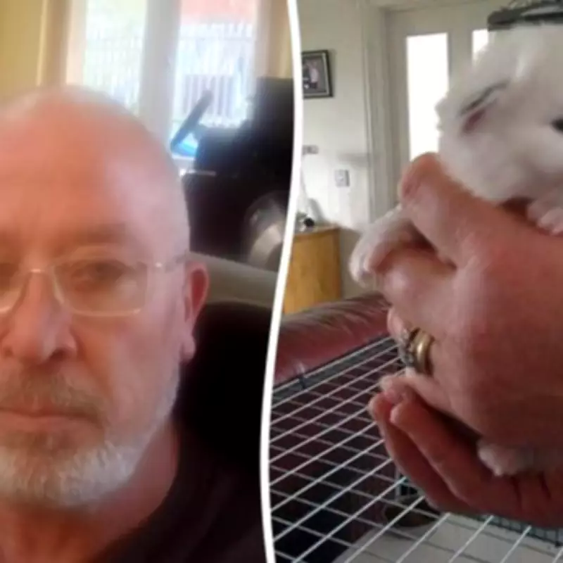Cat Missing for 10 Years Found 200 Miles Away, GDPR Blocks Reunion