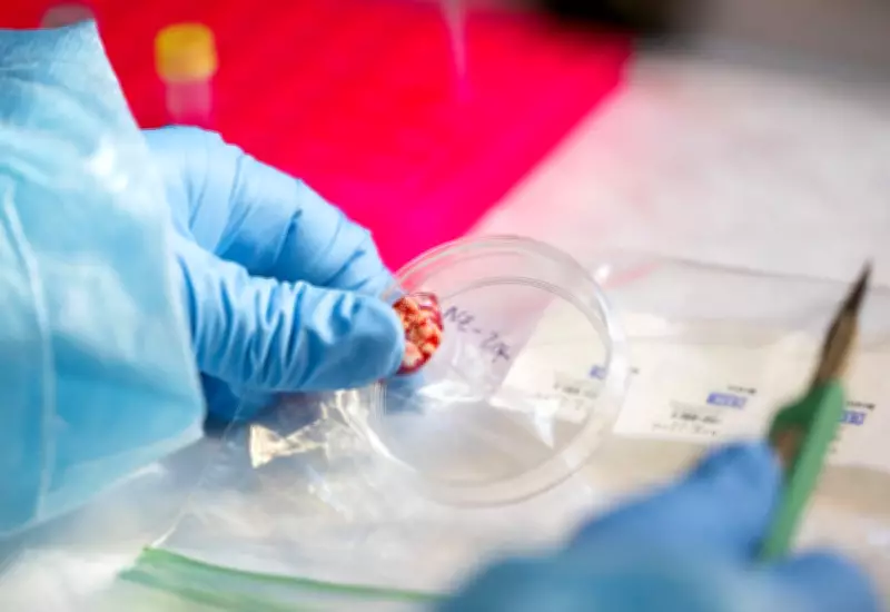 CDC Halts Infectious Disease Testing Amid Staffing Crisis, Impacting Rabies and More