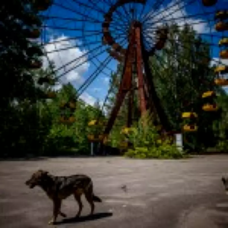 Chernobyl 40 Years On: The Disaster That Changed the World