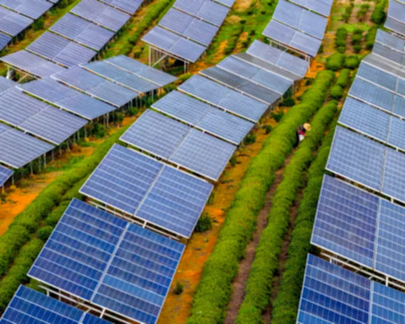 Clean Energy Surge Meets Global Electricity Demand in 2025, Fossil Fuels Stall