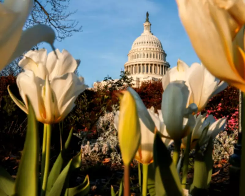 Congress Returns to Stalled DHS Funding Talks and High-Stakes Legislative Agenda