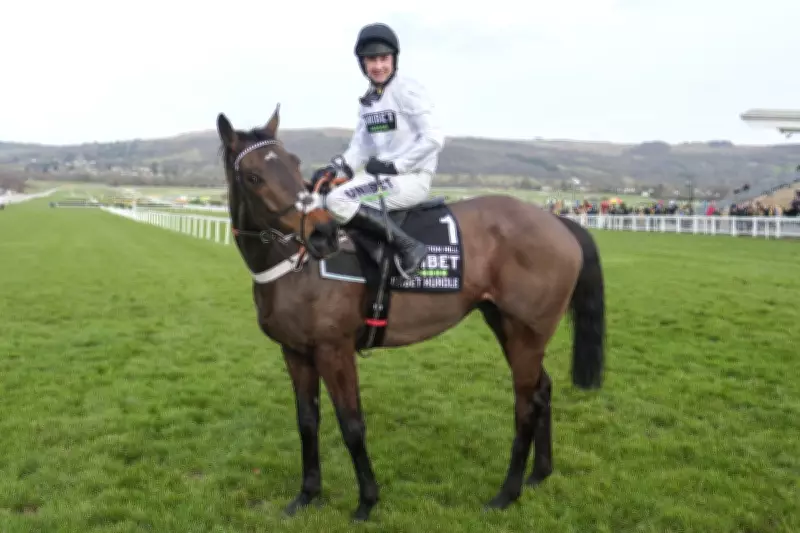 Constitution Hill's Flat Racing Move Sparks Horse Racing Attendance Boom