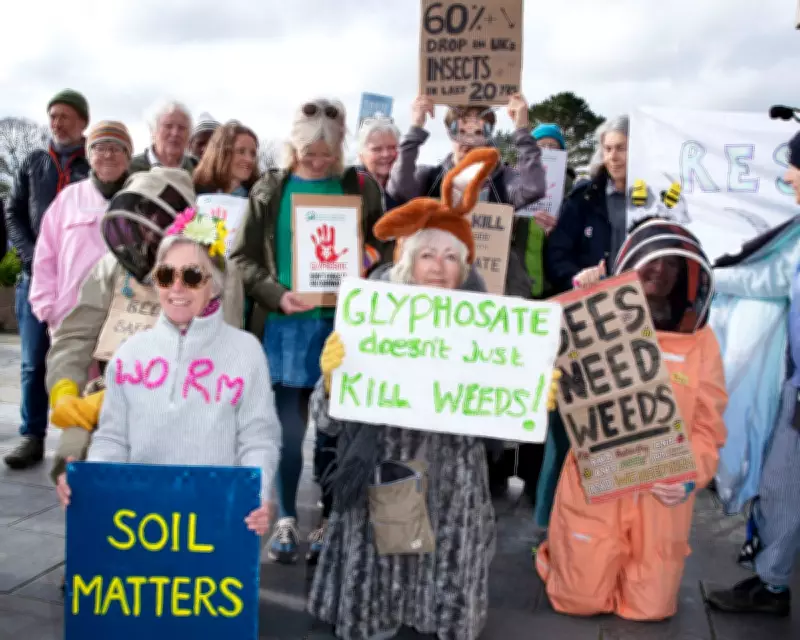 Cornwall Council Faces Fury Over Controversial Glyphosate Weed Plan