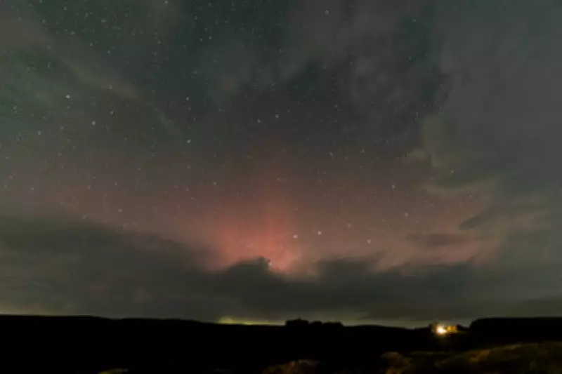 Country Diary: Busy Skies Over Northumberland with Satellites and Fieldfares