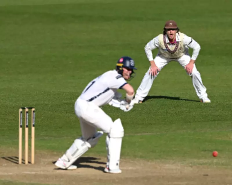 County Cricket Thrills: Hampshire vs Somerset, Warwickshire vs Essex Live Updates