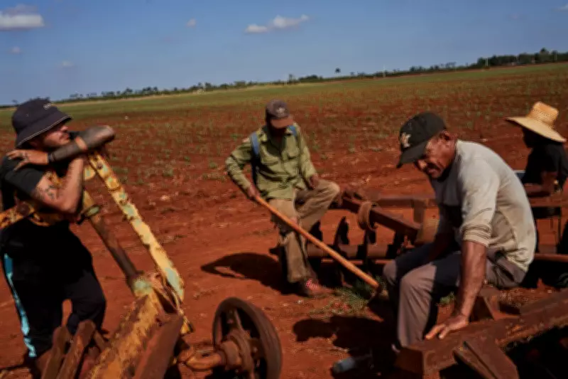 Cuban Farmers Struggle Under Sanctions and Fuel Shortages in Agricultural Heartland