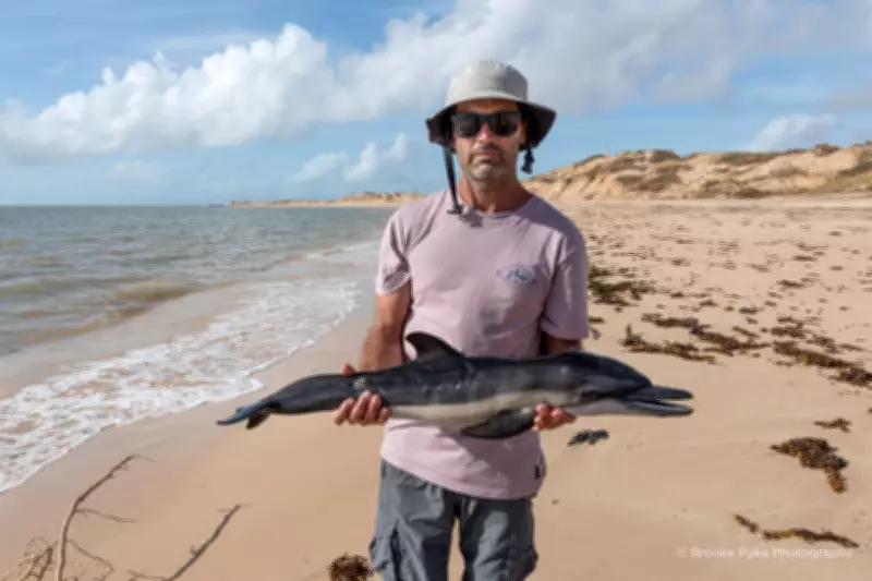 Cyclone Narelle's Aftermath: A Harrowing Graveyard of Marine Life on Western Australia's Coast