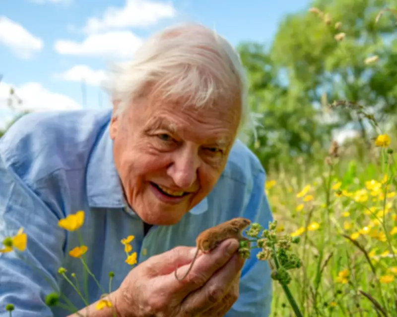 David Attenborough at 100: Share Your Memories of the Legendary Broadcaster