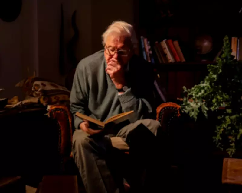 David Attenborough Revisits Gorilla Family in Poignant Netflix Documentary