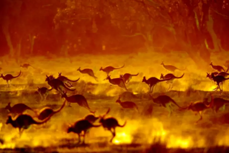 Daylight Saving Time Shift Increases Wildlife Collision Risks During Peak Commute Hours