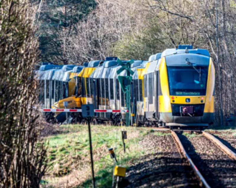 Denmark Train Crash: Five Critically Injured in Head-On Collision