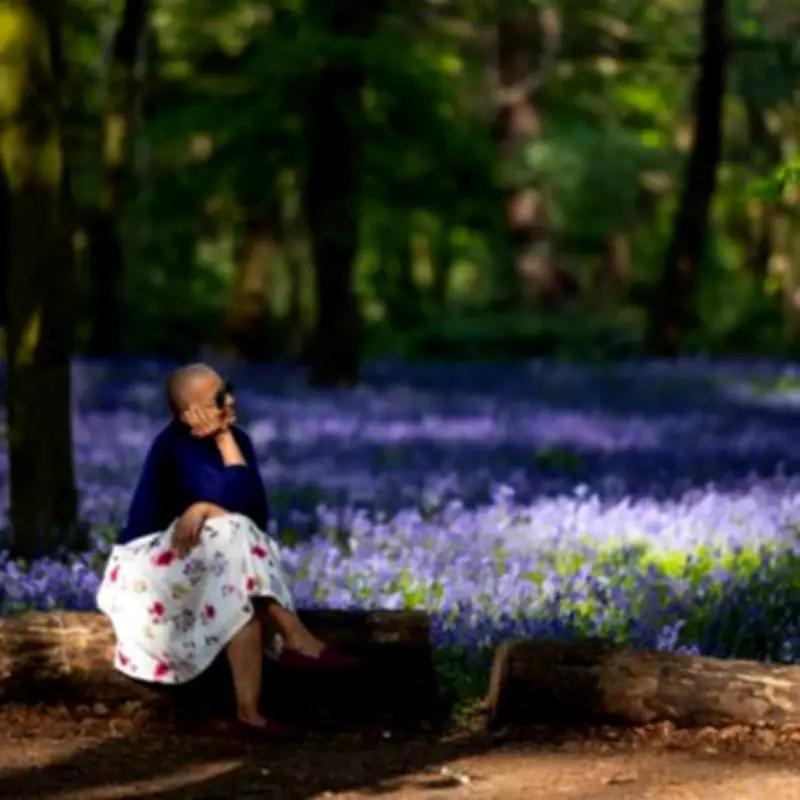 Discover London's Hidden Bluebell Paradise at Wanstead Park's Chalet Wood