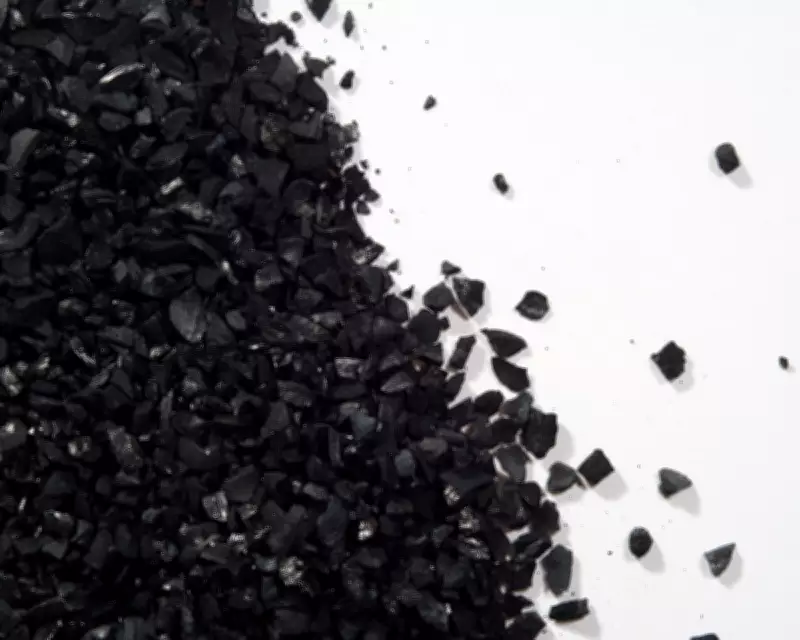 Does Activated Charcoal Help Houseplants? The Verdict