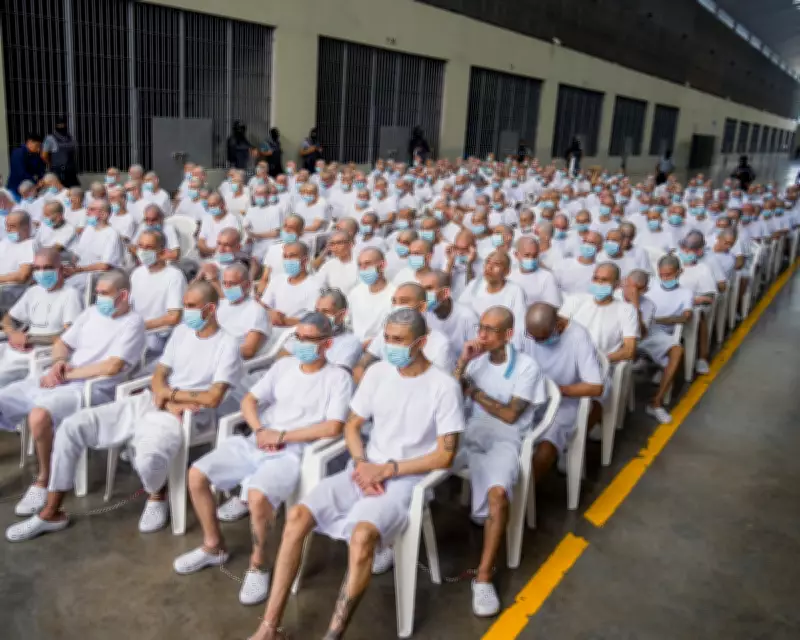El Salvador Conducts Mass Trial of 486 MS-13 Gang Members Amid Rights Concerns