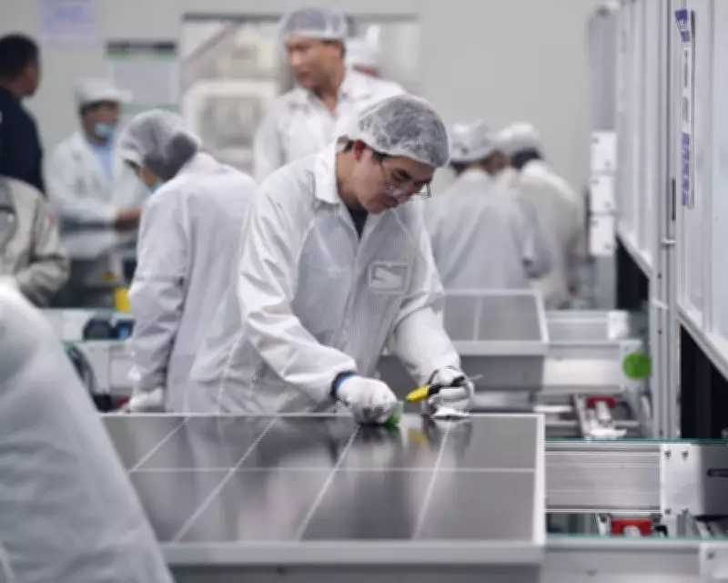 Europe 'Sleepwalking' into Risks from Chinese Green Tech Dependence, Experts Warn