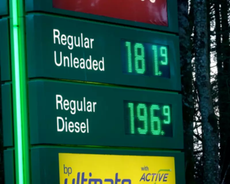 European Markets Plunge as Trump's Iran War Speech Sparks Economic Catastrophe Fears