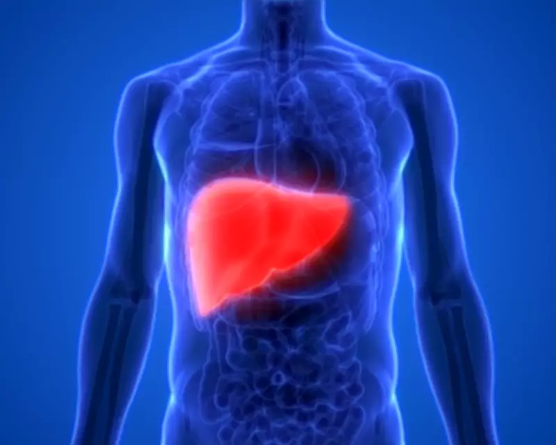 Experts Urge Higher Taxes on Alcohol and Junk Food to Combat Liver Disease Deaths in Europe