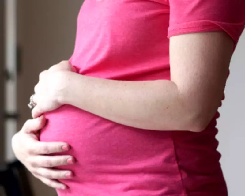 Falling Fertility Rates: Economic Factors and Smartphones More Likely Causes