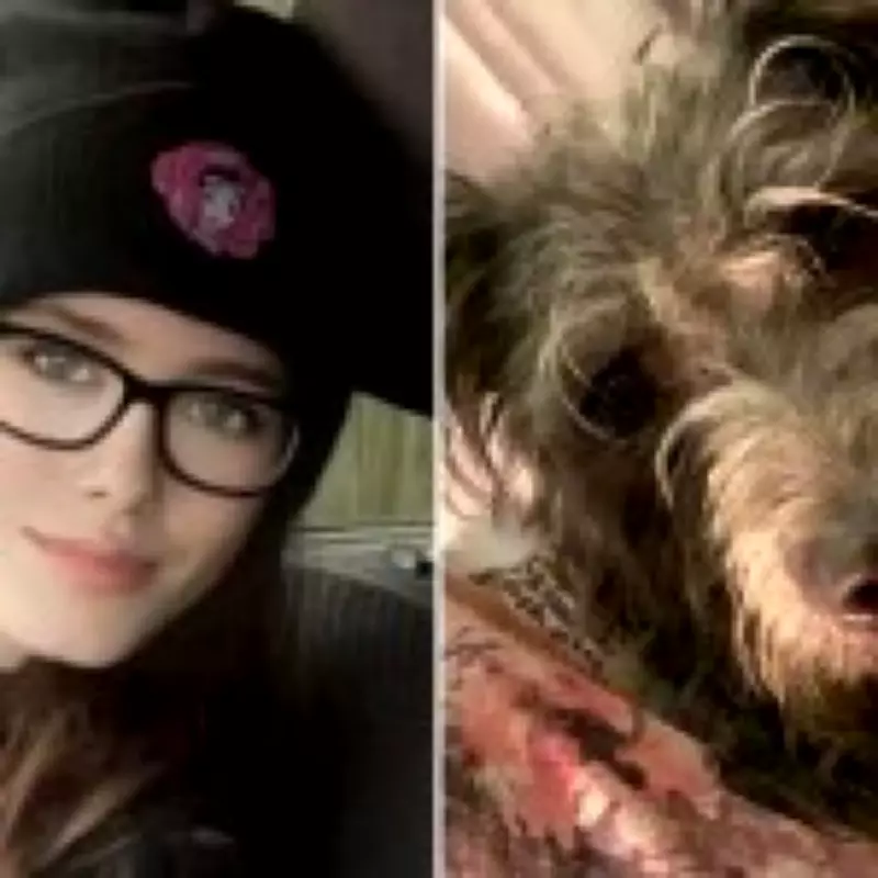 Family Dog Seized After Fatal Attack on Teenager Jamie-Lea Biscoe in Essex