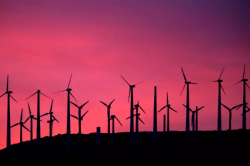 Federal Judge Halts Trump Administration's Restrictions on Wind and Solar Energy Projects