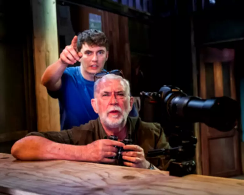Firewing Review: Bird Hide Drama Blends Humor and Tension