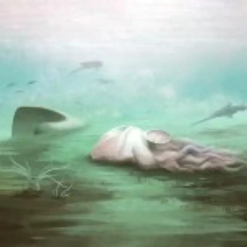 Fossil Record Rewritten: 'Oldest Octopus' Revealed as Ancient Nautilus Relative