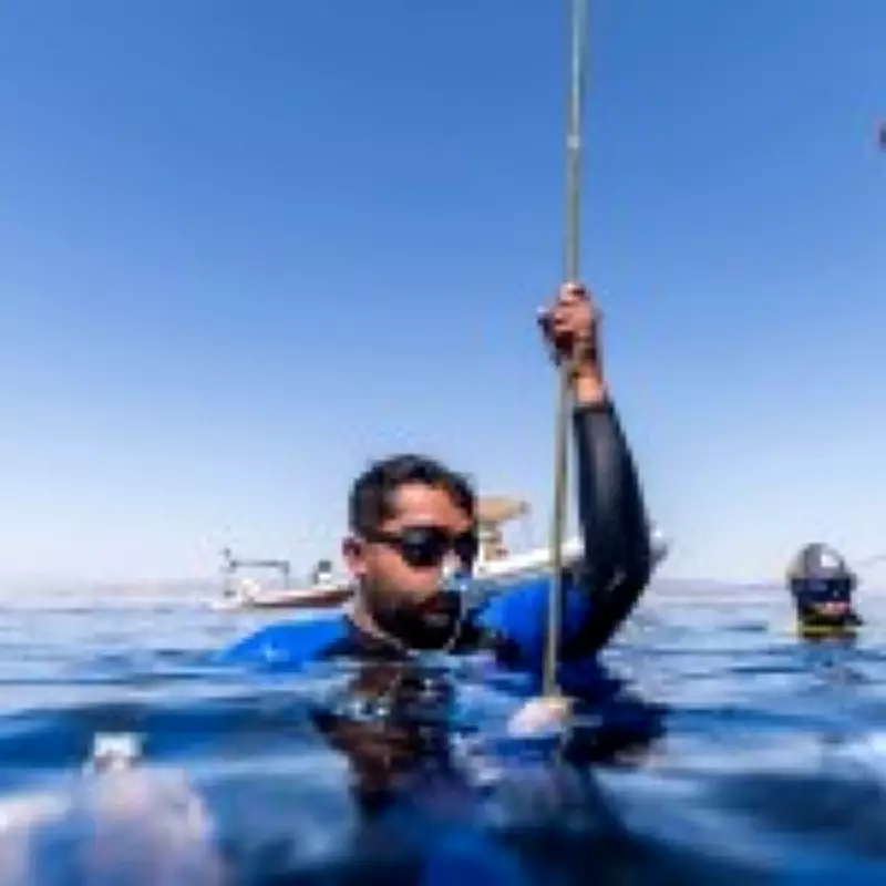 Freediver Risks Iran Warzone to Dive in Strait of Hormuz for Inner Peace