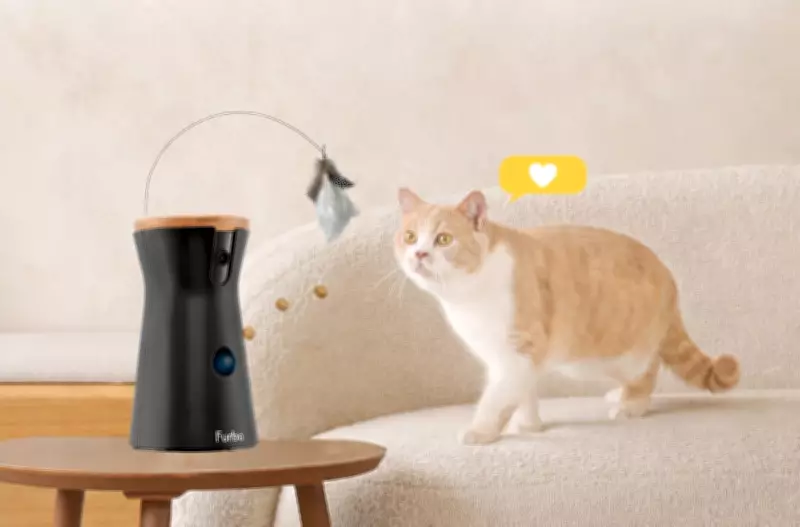 Furbo's £32 Smart Pet Camera Tosses Treats and Tracks Health Remotely