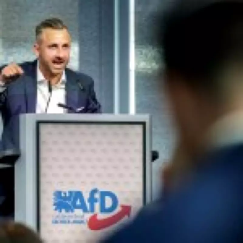 German Far-Right AfD Pushes 'Remigration' and Free Russian Lessons in Saxony-Anhalt